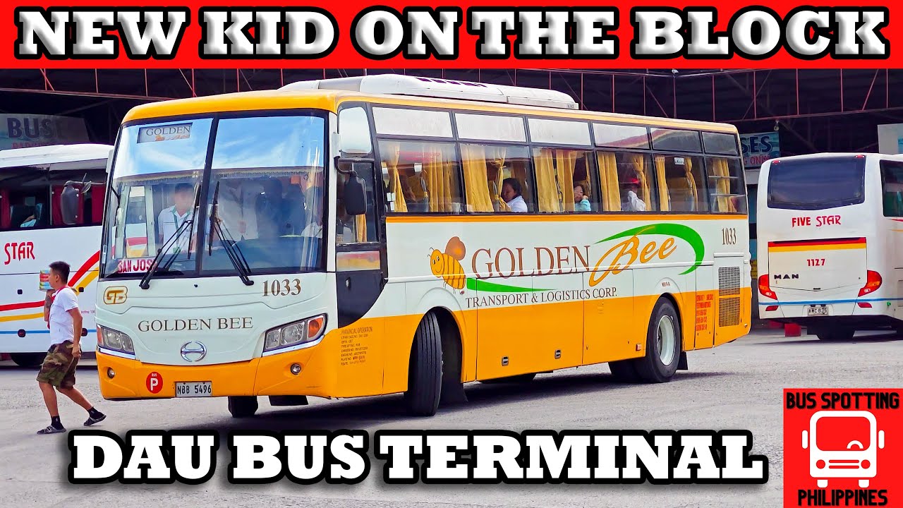 NEWEST BUS LINE IN DAU BUS TERMINAL | GOLDEN BEE TRANSPORT & LOGISTICS