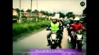 VIRAL LAGU KERINCI MULEPEH CANDU