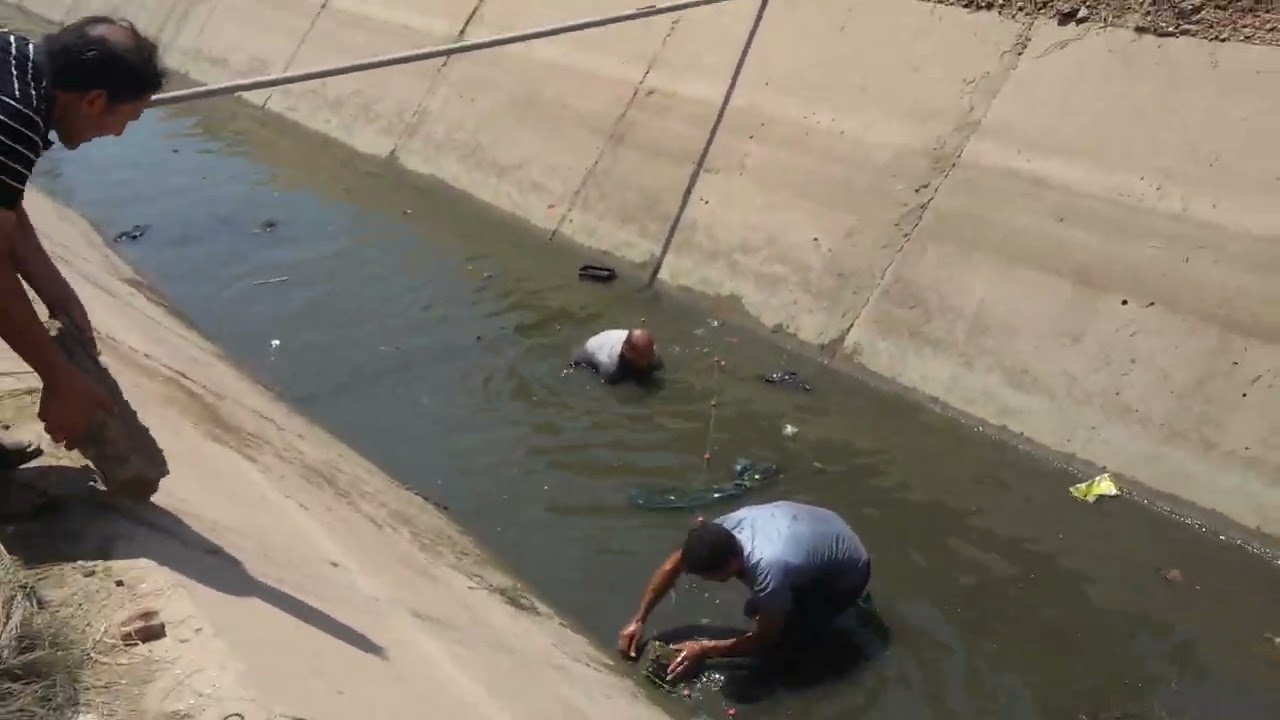 سياده السمك الجيده