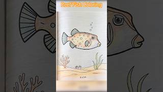 Box fish Coloring Page from Ocean Dreams Coloring Book