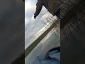 13 мая 2026 г.