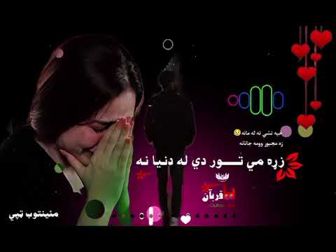 Zara Me Tor De La Dunya Na Za Majbur Wama Janana New Typist 2024