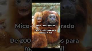 ANIMAIS QUE QUASE FORAM EXTINTOS #dinossauros #curiosidades #bizarro #shorts