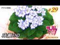 「マブラヴ/UNLIMITED編/# 29 - 珠瀬 壬姫 END -」「実況無し/アフレコ済み」