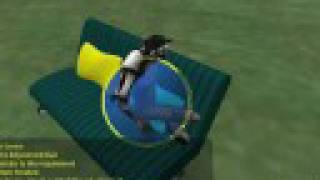 Simple Sit Target SECONDLIFE