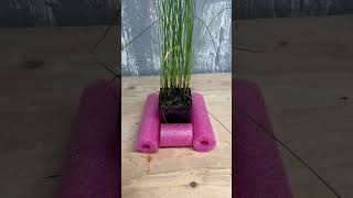 A quick way to build floating pots for pond plants #pondplants #gardenpond #youtubeshorts