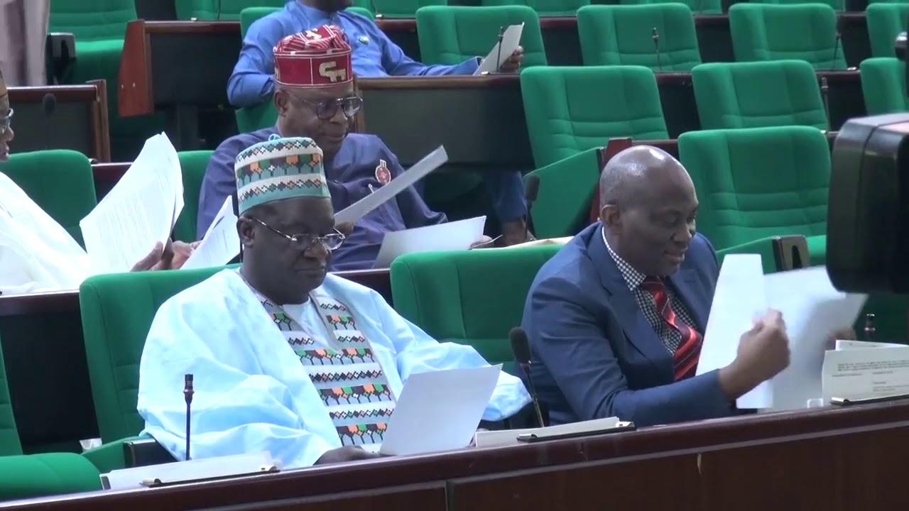 Nigeria s House Of Representatives To Investigate NDDC Spending YouTube