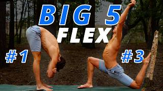 "Big 5" Active Flexibility Routine! (FOLLOW ALONG)