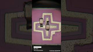 Inside of a 2N2219A transistor #electronics #microscope #transistor