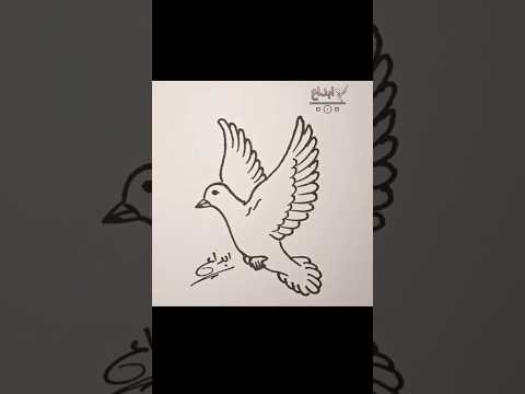 اسهل طريقة لرسم الحمامة الفيديو كامل علي القناة للرسمة خطوه بخطوه ابداع  رسم سهل