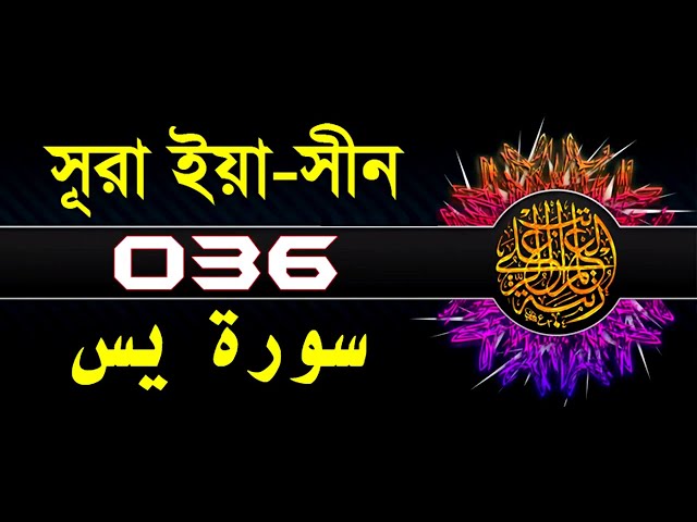 36 Surah Ya Sin with bangla translation   recited by mishari al afasy class=