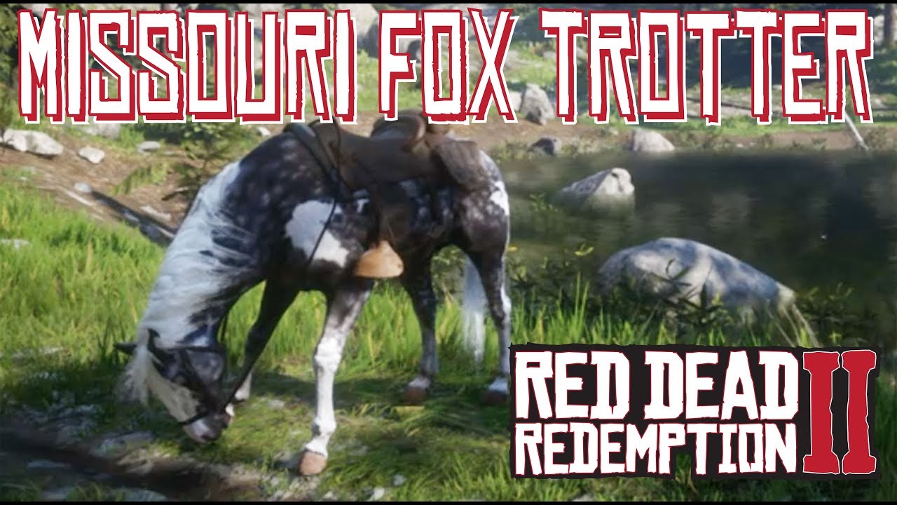 formel Formuler I særdeleshed How to Find The Silver Dapple Pinto Missouri Fox Trotter at Moonstone Pond  in Red Dead Redemption 2 - YouTube