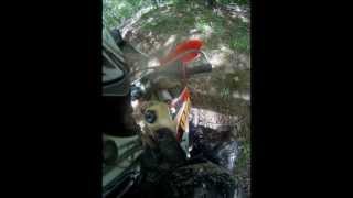 PAXC Beaver Valley Last Lap