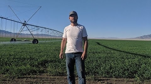 OptiSurface Case Study - Nevada Pivot | Alfalfa and Wheat Under Center Pivots | OptiSurface Designer