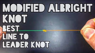 Modified Albright Knot Best Line To Leader Knot by Fishing POV 148,856 views 6 years ago 3 minutes, 54 seconds