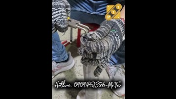 Con lăn gia công cơ khí #conlangiacong #conlantphcm #conlancong nghiep