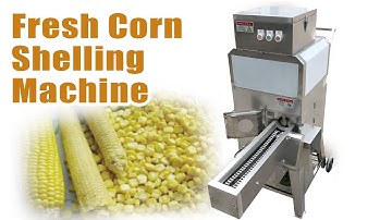Efficient Threshing! Sweet Fresh Corn Thresher | Fresh Corn Shelling Machine