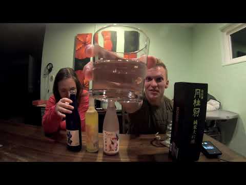 Sake Sampler (Drinking 4 types of Sake)