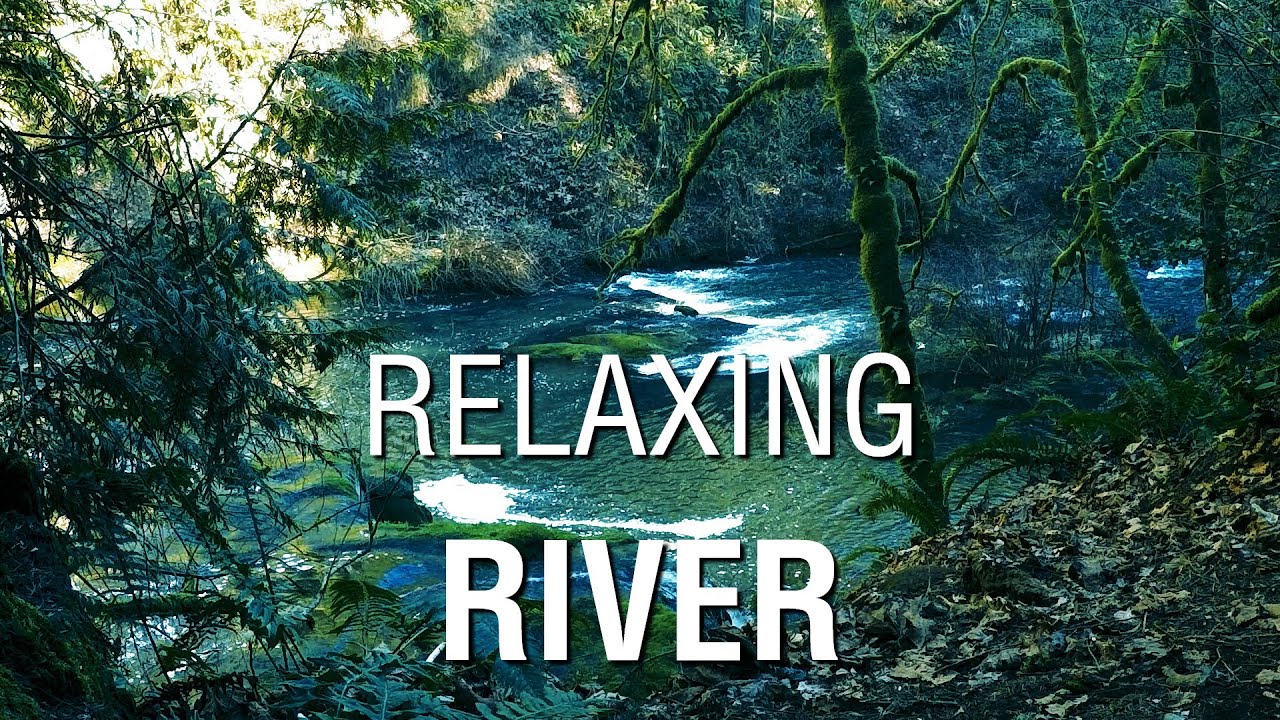 Relax | River | Calming River Sounds - YouTube