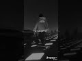 راني ما نادم علي ليام Shorts 