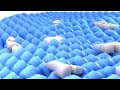 Samsung Logo Balls In Content Aware Scale 