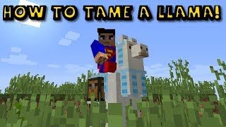How to get a llama in minecraft - Make money from home 