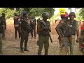 Bandit raid leaves nine farmers dead in northwest Nigeria