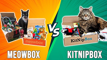 Meowbox vs KitNipBox - Which Is Better? (A Detailed Comparison)