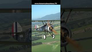 WW1 Sopwith Camel In The Air