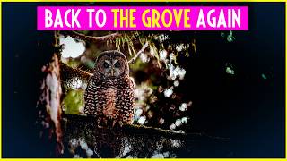 Exposing The Epstein Class Narrative