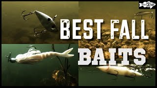 5 BEST BAITFISH BASS LURES for Fall Bass Fishing