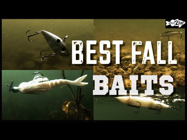 5 BEST BAITFISH BASS LURES for Fall Bass Fishing 