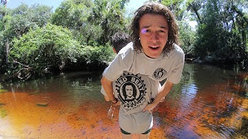 Day in the Life of Bert