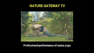 Professional performance of asana yoga | Meditation Music, Sleep Music, Ambient Study Music