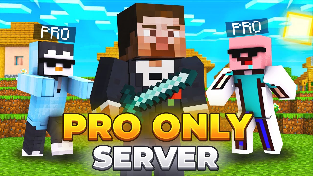 I Joined a 'PRO ONLY' Minecraft Server!