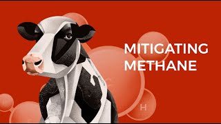Mitigating Methane Film