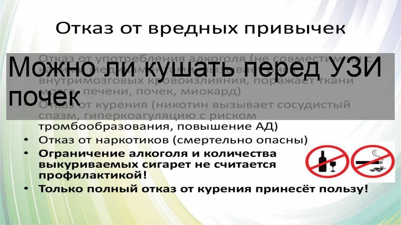 Перед узи почек можно ли пить воду. Можно ли кушать перед УЗИ почек. УЗИ почек подготовка. Перед УЗИ почек можно кушать. Перед УЗИ почек можно ли есть и пить.