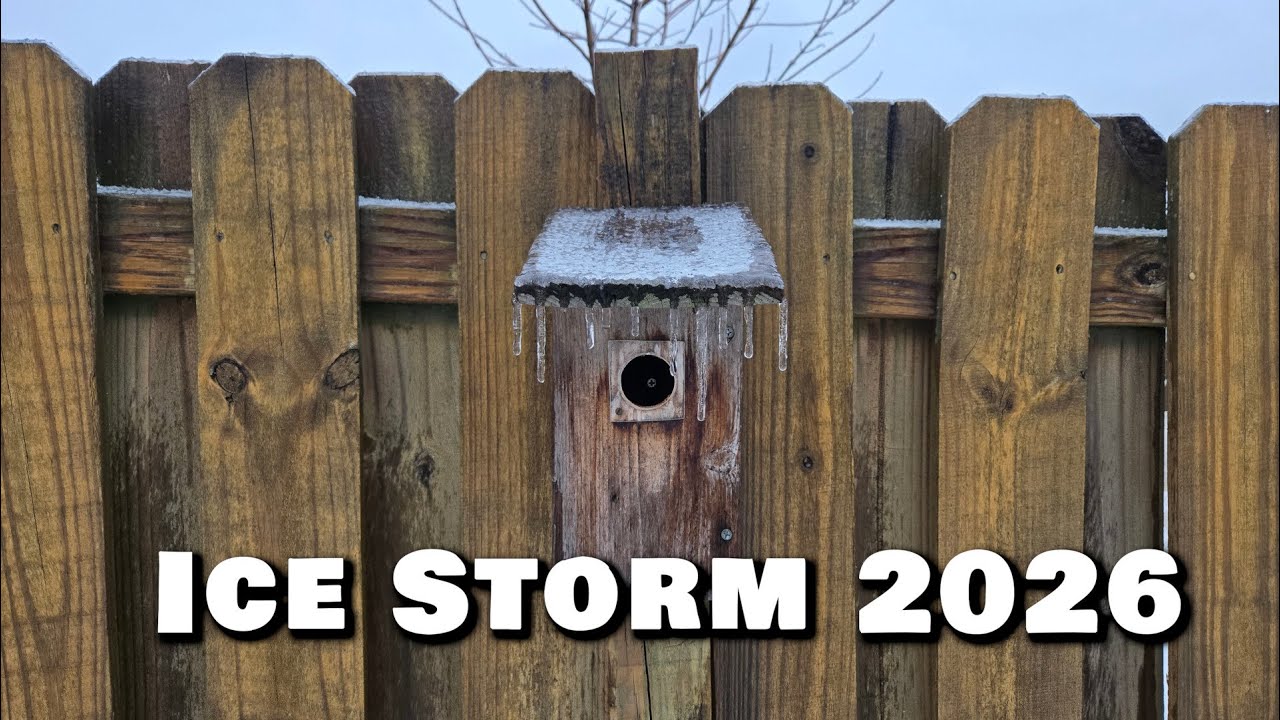 Greenville, South Carolina - January 2026 Ice Storm - YouTube
