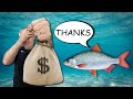 From losing to cruising 8  we are donating to fish  more 100nl hands reviewed