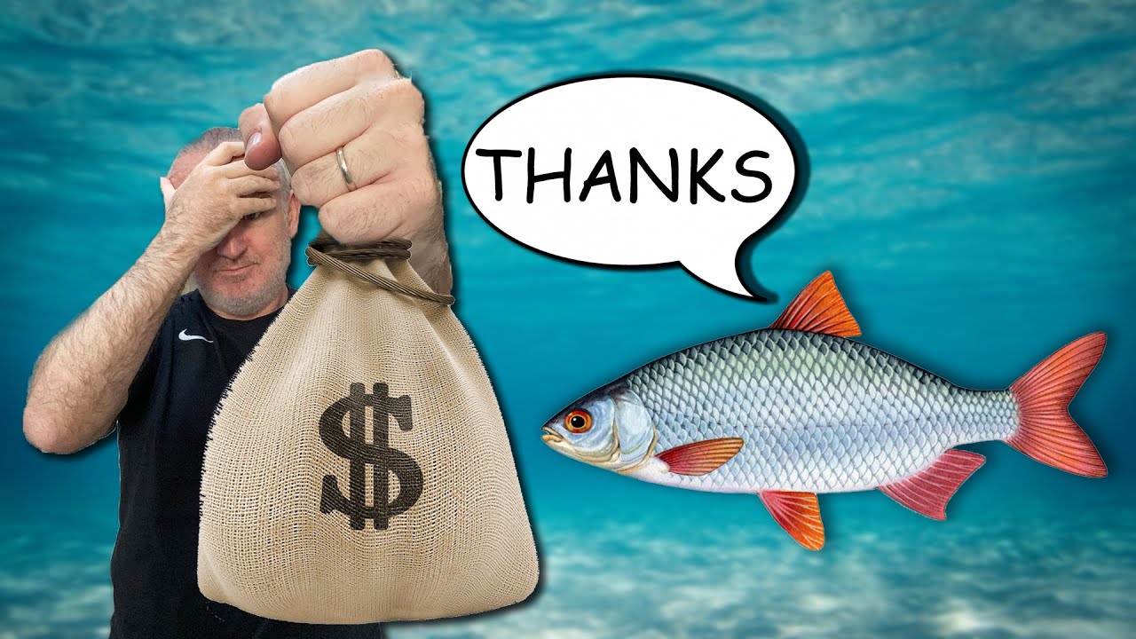 From Losing to Cruising 8 We are DONATING to FISH!!! More 100NL Hands Reviewed YouTube