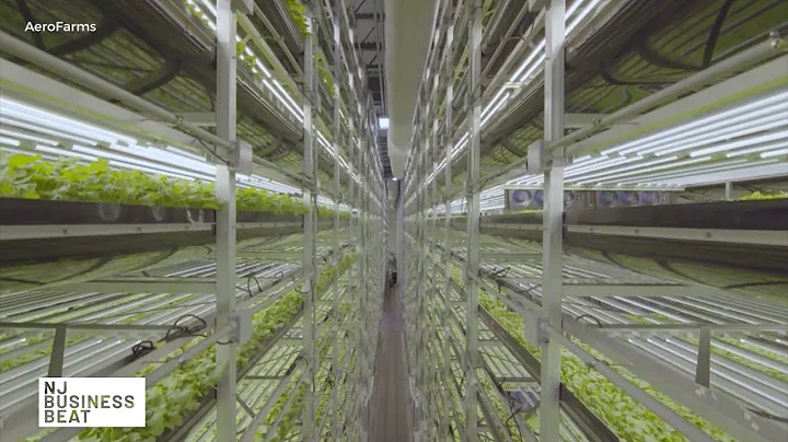 Indoor farming company's growing commitment to Newark | NJ Business Beat