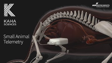 Kaha Sciences | Small Animal Telemetry Systems