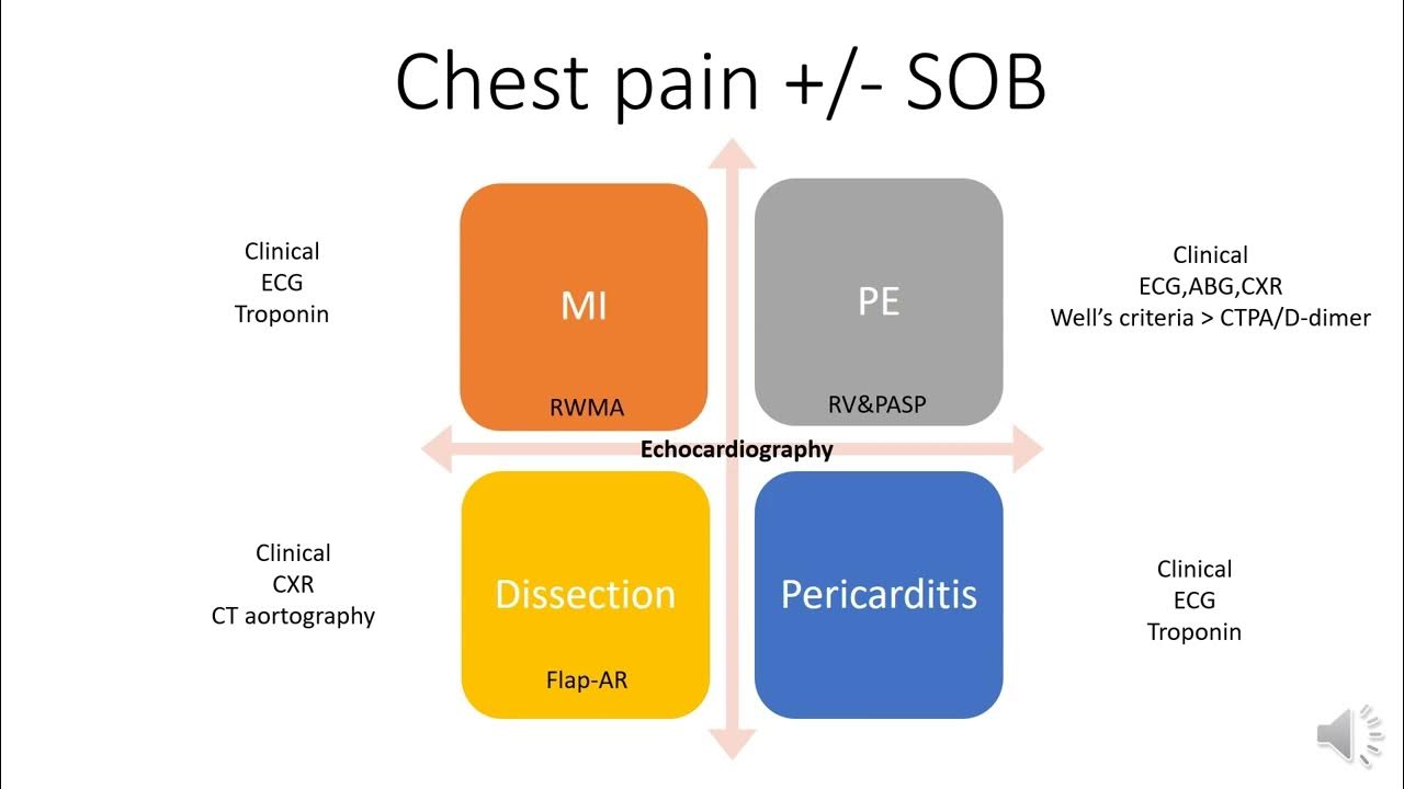 Focused bedside Echo YouTube