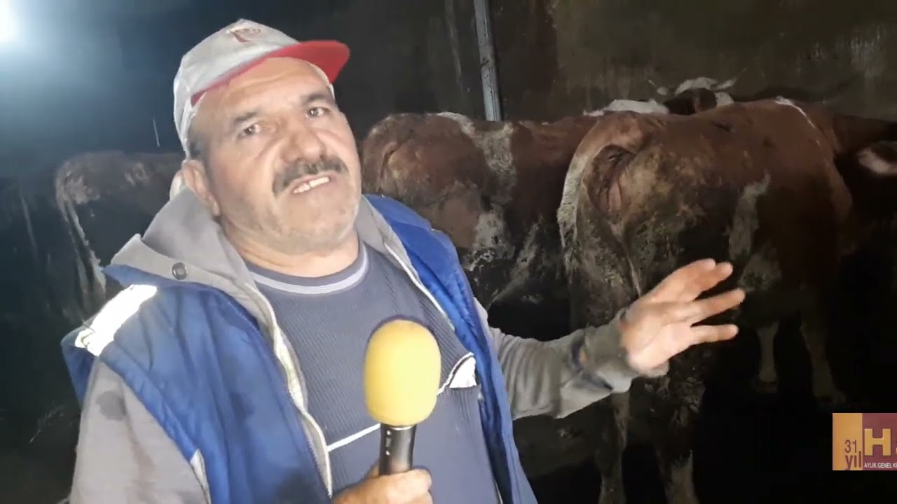 BAŞÇIMAĞIL KÖYÜ