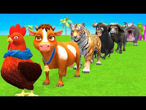 Long Slide Game With Cow Elephant Gorilla Hippopotamus Tiger 3d Animal Game Funny 3d Animals