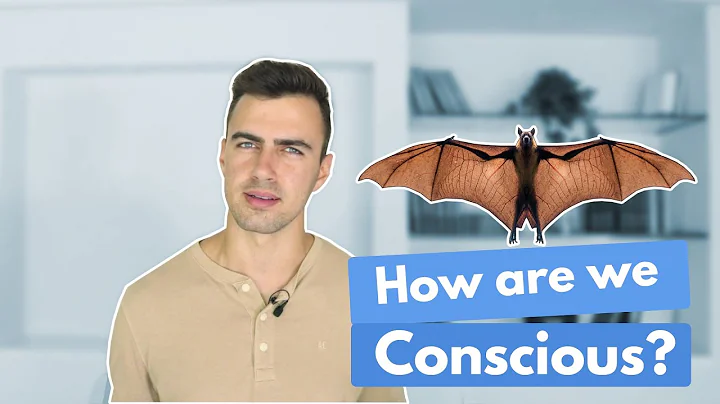 The Structure of Consciousness