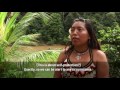 A tribe in Panama uses drones to protect their territory