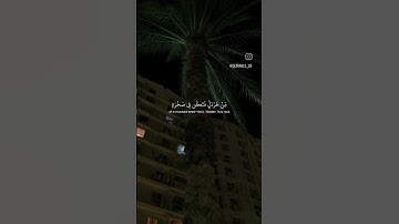 سورة لقمان الايه (١٦)... اكتب شي تؤجر عليه #قرآن #القرآن_الكريم #سورة_لقمان