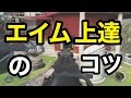 【解説実況】初心者の為のエイム合わせのコツ【cod:iw】