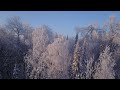 Завораживающие полёты на mavic pro в зимнем лесу.(За бортом  -42 градуса)